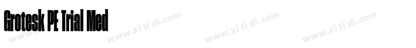 Grotesk PE Trial Med字体转换